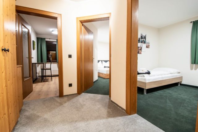 appartment-04-08-gamskarkogel-Bergblick-30