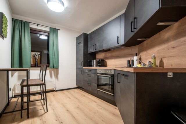appartment-04-08-gamskarkogel-Bergblick-32