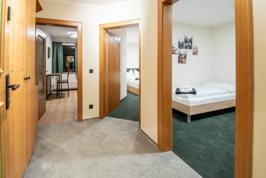 appartment-04-08-gamskarkogel-Bergblick-61