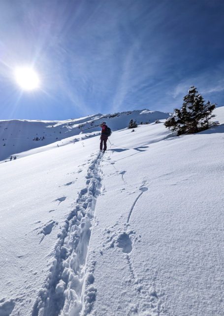 bergblick-appartements-bad-gastein-winter-skitour-02